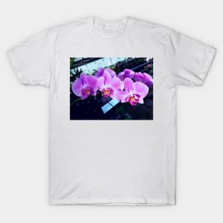 Gorgeous Orchids T-Shirt